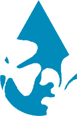 Logo des Team Wasser